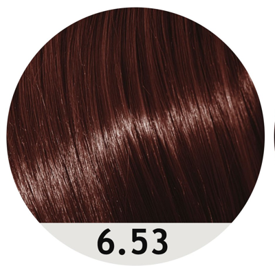 رنگ مو کالر استودیو شماره 6.53 (بلوند تیره ماهاگونی طلایی)